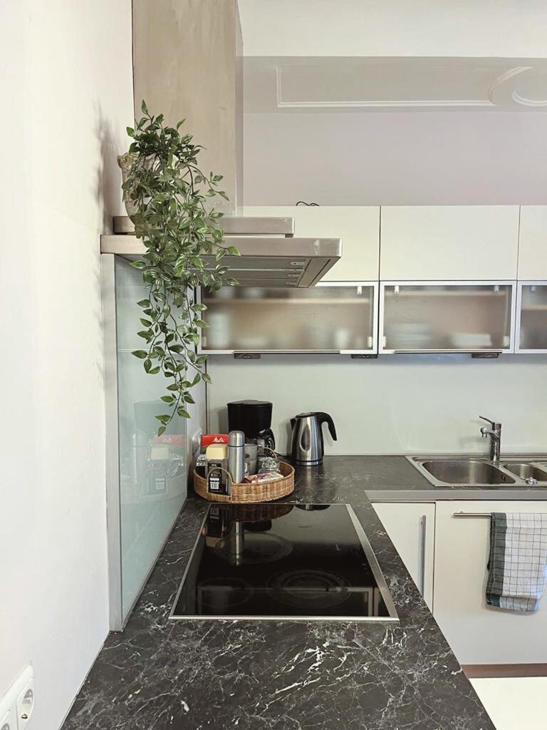 Taferne In Koestendorf - Ferienwohnung Monteurzimmer Neumarkt am Wallersee Dış mekan fotoğraf